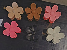 Load image into Gallery viewer, Assorted Hairclips
