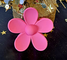 Load image into Gallery viewer, Assorted Hairclips