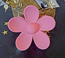 Load image into Gallery viewer, Assorted Hairclips