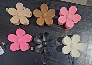 Assorted Hairclips